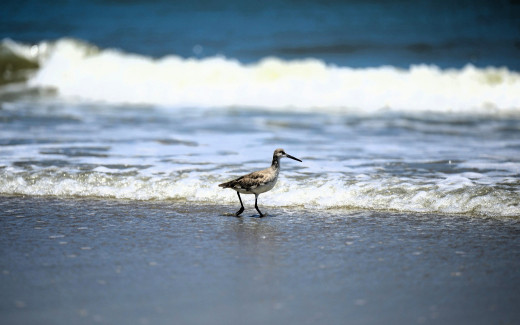 1755314 (a): :1920x1200